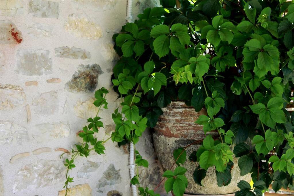 Ferienwohnung Traditional Stone House At Great Location Koróni Exterior foto